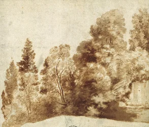 Group of Trees at a Wall